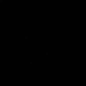 Meet your Posher, Xavier